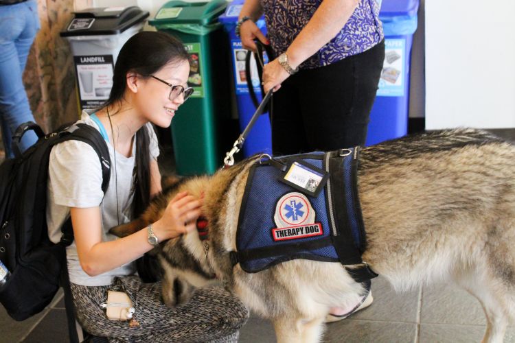 a young woman wearing a backpack hugs a big, fluffy dog